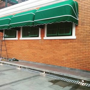 Canopy Kain 10